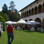 Si brinda con Ferrari alla 30ma edizione della rievocazione  della storica corsa “Stella Alpina”