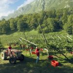 “Grape Harvest Aperitif” at the Ferrari Winery