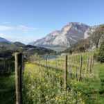 Fioritura a Fraveggio sopra il lago di S. Massenza