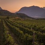 Der Gambero Rosso kürt Ferrari Trento zum „Weingut des Jahres“