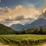 Ferrari Trento is again “Sparkling Wine Producer of the Year” at the 2019 edition of The Champagne & Sparkling Wine World Championships