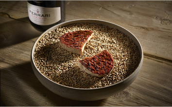 Tomato - Ferrari Trento