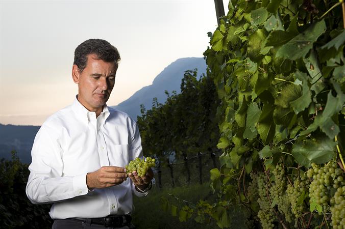Le Cantine Ferrari danno il via alla vendemmia 2016