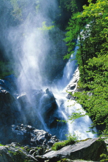 Ferrari e Surgiva vicini alla natura del Parco Naturale Adamello Brenta