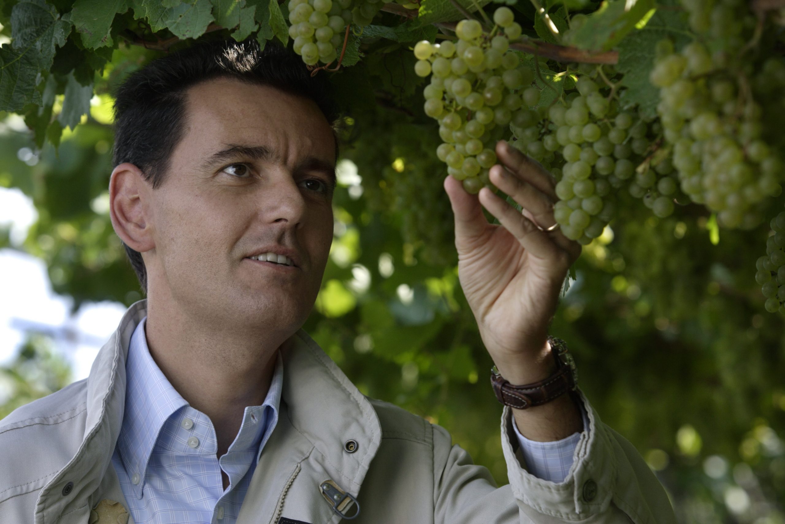 Una straordinaria verticale di Giulio Ferrari condotta da Marcello Lunelli al Vinòforum di Roma