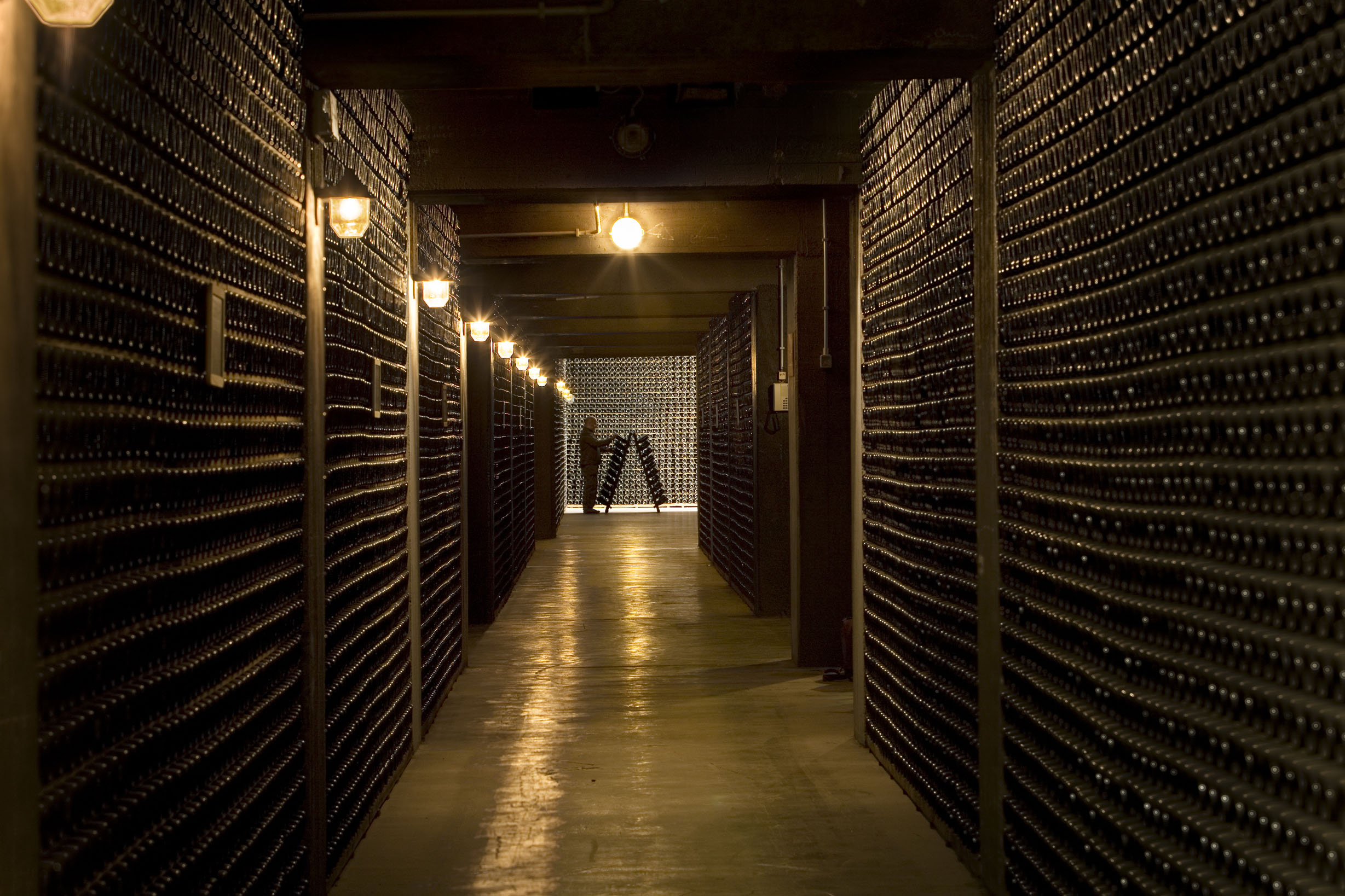 Cantine Ferrari: a dicembre il Bello e il Buono anche la domenica