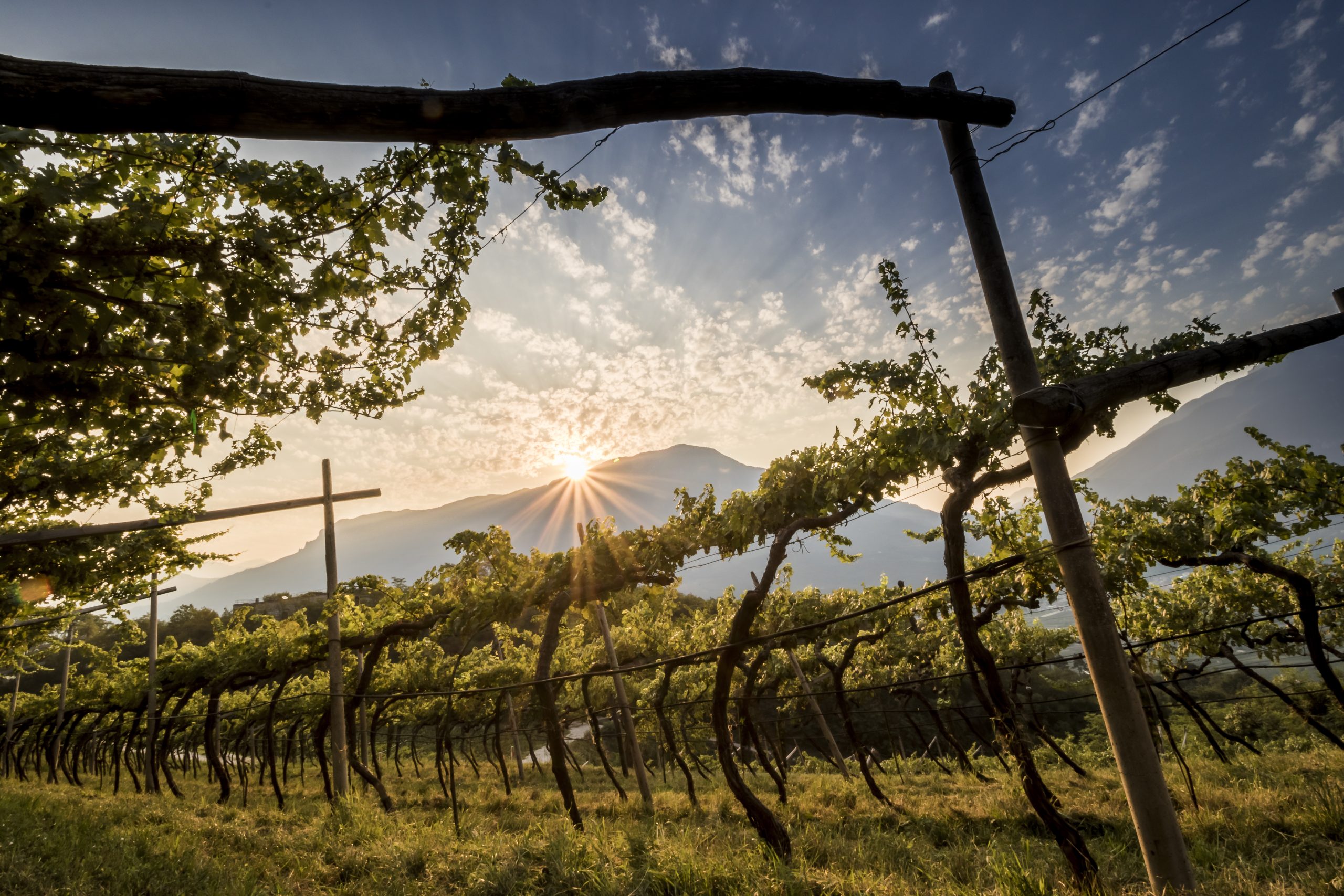 È arrivata l’app Trentodoc