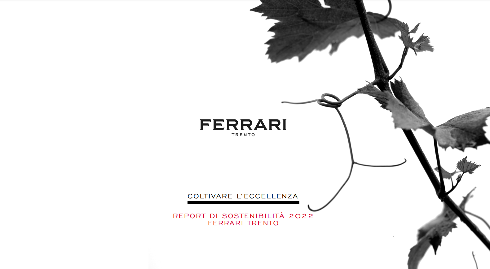 <strong>Il Report di Sostenibilità di Ferrari Trento è tra i12 <em>High Performer</em> nell’Index Future Respect 2023</strong>