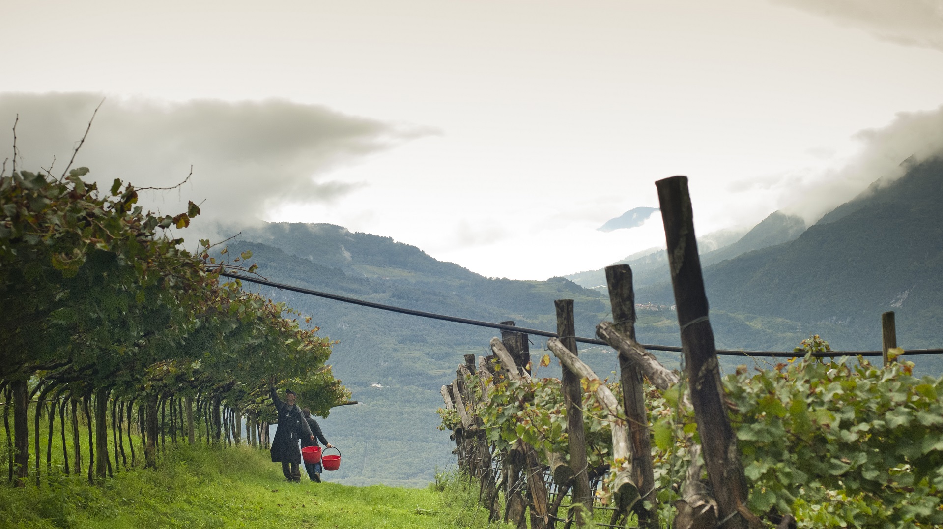 Ferrari Trento presenta il suo primo Report di Sostenibilità